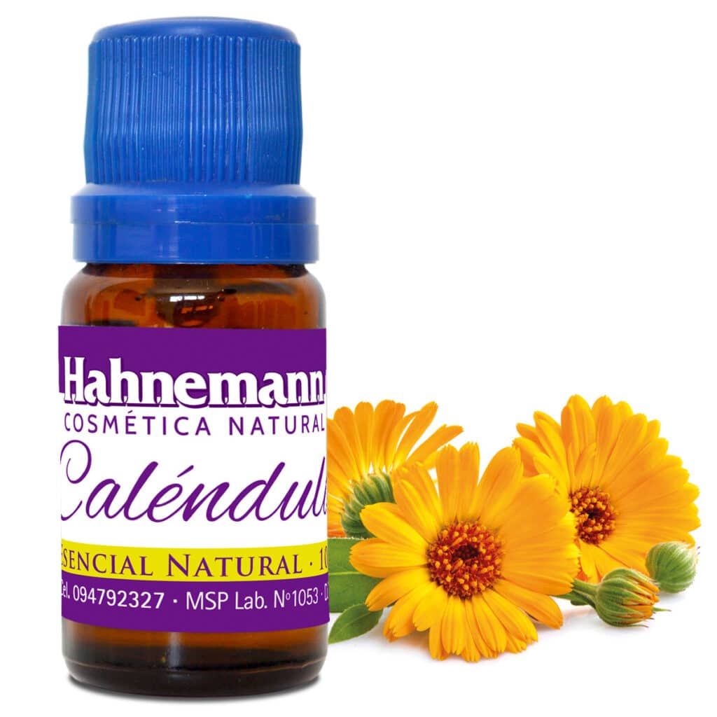 CALENDULA
