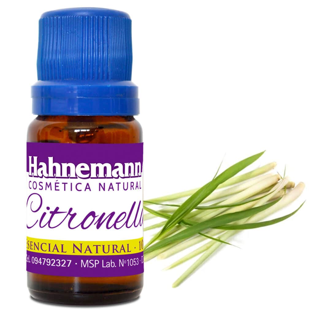 CITRONELLA