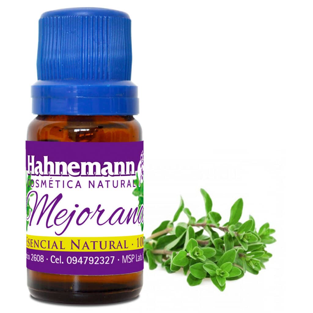 MEJORANA