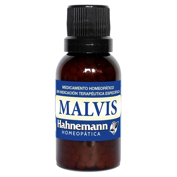 PHOTO 2025 08 12 16 06 54