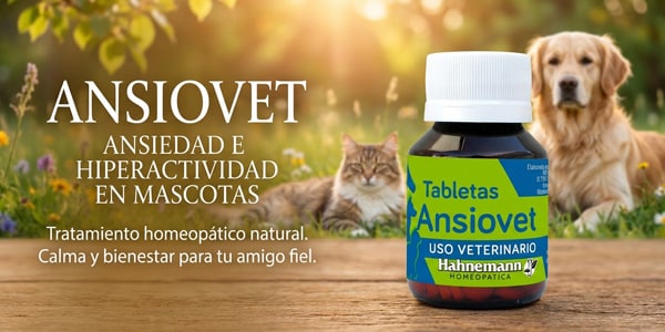 banner ansiovet banner ansiovet