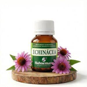 echinacea